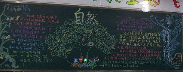 自然小报黑板报 黑板报图片素材
