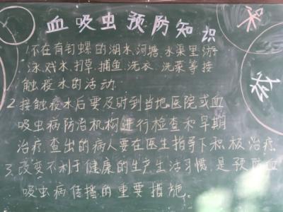 有关防治吸血虫的黑板报 黑板报图片素材