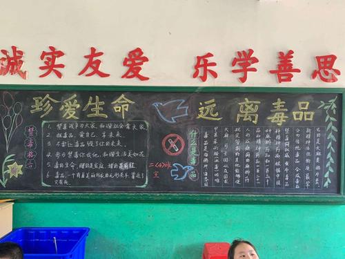 小学禁毒安全养成教育黑板报 安全教育黑板报图片大全