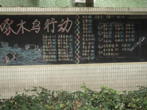 啄木鸟啄错字的黑板报 黑板报图片素材