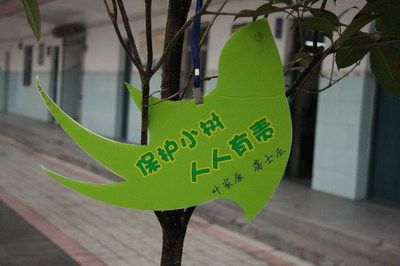 爱护树木人人有责贺卡 爱护树木贺卡