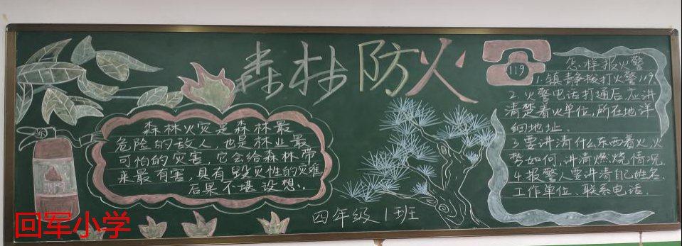 防自然森林火灾黑板报 森林防火黑板报图片大全