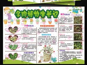 多肉黑板报 黑板报图片素材