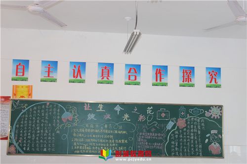 绽放生命之花黑板报 黑板报图片大全