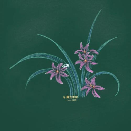 兰花黑板报 黑板报图片大全